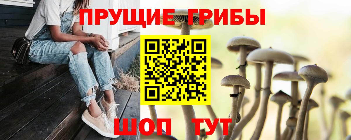 Псилоцибиновые грибы ЛСД  Вход с VPN  Ефремов 